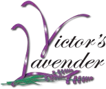 Victor's Lavender Logo