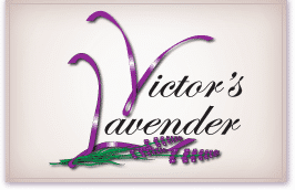 victorslavender-logo