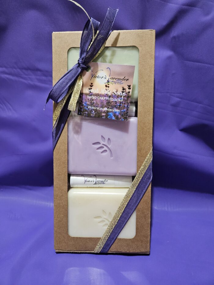 Holiday Soap & Lip Balm Set